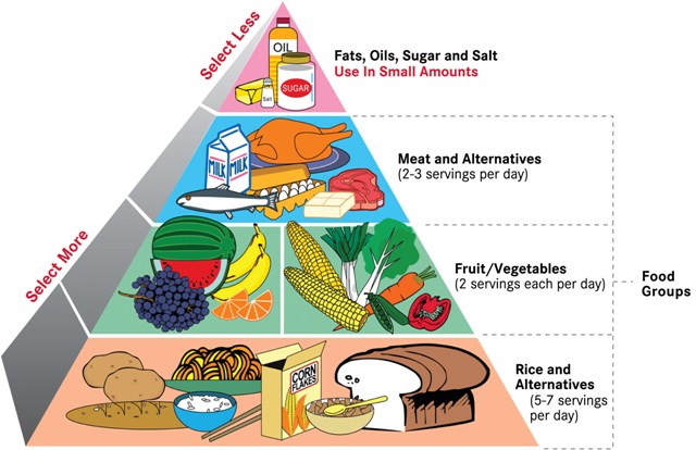 Healthy Food Pyramid Worksheets. way Healthy+food+pyramid
